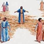 Evangelio San Mateo 10,7-15. Jueves 11 de Julio de 2019.