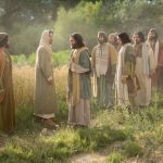 Evangelio San Lucas 10,1-12.17-20. Domingo 7 de Julio de 2019.