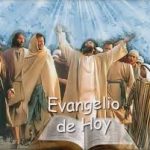 Evangelio San Mateo 11,25-27. Miércoles 17 de Julio de 2019. Misa por los laicos.