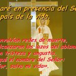 Salmo 114,1-6.8-9. Jueves 4 de Julio de 2019. Nuestra Señora del Refugio.