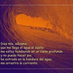 Salmo 68,3.14.30-31.33-34. Martes 16 de Julio de 2019. Nuestra Señora del Carmen.