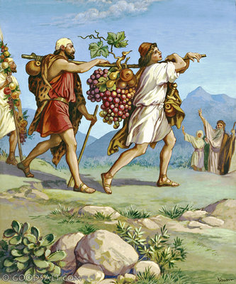 Del libro de los Números 13,1-2.25-14,1-26-29.34-35. Miércoles 7 de Agosto de 2019. Para fomentar la concordia.
