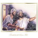 Evangelio San Lucas 12,32-48. Domingo 11 de Agosto de 2019.