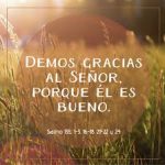 Salmo 135,1-3.16-18.21-22.24. Viernes 16 de Agosto de 2019.