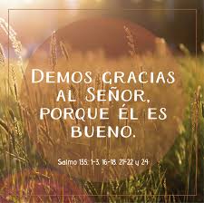 Salmo 135,1-3.16-18.21-22.24. Viernes 16 de Agosto de 2019.