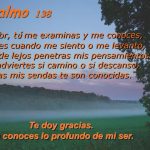 Salmo 138. Señor, tú me examinas y me conoces, sabes cuando me siento o me levanto, desde lejos penetras mis pensamientos. Tú adviertes si camino o si descanso, todas mis sendas te son conocidas. Te doy gracias. Tú conoces lo profundo de mi ser.