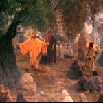 Evangelio San Lucas 6,20-26. Miércoles 11 de Septiembre de 2019. Misa por las vocaciones a las Órdenes Sagradas.