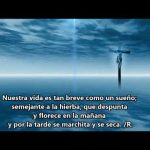 Salmo 89,3-6.12-14.17. Domingo 8 de Septiembre de 2019.