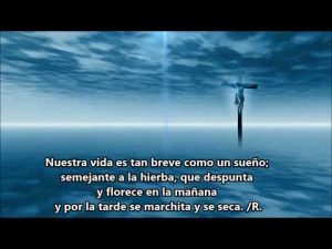 Salmo 89,3-6.12-14.17. Domingo 8 de Septiembre de 2019.