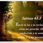 Salmo 42,1-4. Viernes 27 de Septiembre de 2019.