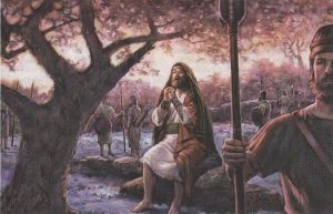 Salmo 108,21-22.26-27.30-31. Jueves 31 de Octubre de 2019. Misa De Nuestro Señor Jesucristo Sumo y Eterno Sacerdote.