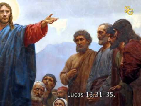 Evangelio San Lucas 13,31-35. Jueves 31 de Octubre de 2019. Misa De Nuestro Señor Jesucristo Sumo y Eterno Sacerdote.