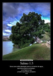 Salmo 1,1-4.6. Jueves 12 de Marzo de 2020.