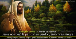 Evangelio San Juan 14,27-31. Martes 12 de Mayo de 2020. Martes V de Pascua.