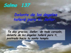 Salmo 137,1-3.6.8. Domingo 23 de Agosto de 2020.