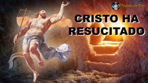 De la 1a carta del Apóstol San Pablo a los Corintios 15,12-20. Viernes 18 de Septiembre de 2020. Misa por los Cristianos Perseguidos.