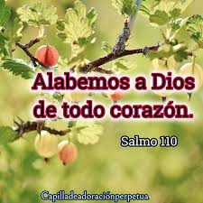 Salmo 110,1-6. Viernes 9 de Octubre de 2020. La Preciosísima Sangre de Nuestro Señor Jesucristo.