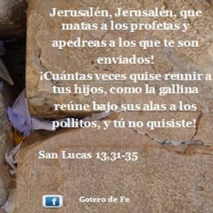 Evangelio San Lucas 13,31-35. Jueves 29 de Octubre de 2020. Misa Votiva de Nuestro Señor Jesucristo, Sumo y Eterno Sacerdote.