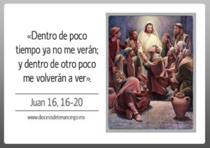 Evangelio San Juan 16,16-20. Jueves 13 de Mayo de 2021. Nuestra Señora de Fátima.