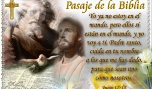 Evangelio San Juan 17,11-19. Miércoles 19 de Mayo de 2021. Madre Santísima de la Luz, Patrona de la Diócesis de León Guanajuato.