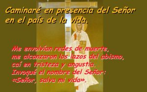 Salmo 114, 1-6.8-9. Jueves 1 de Julio de 2021. La Preciosísima Sangre de Nuestro Señor Jesucristo.