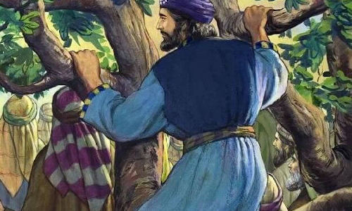 Palabra de Dios. 16 Nov. 2021. Tiempo Ordinario.