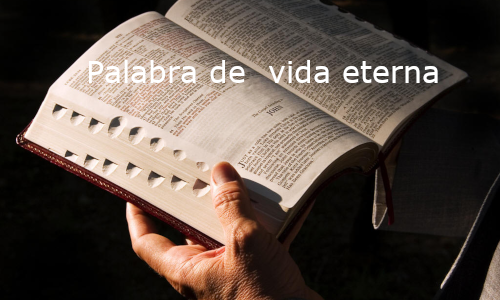 “Hagan todo lo que él les diga Jn 2,5.” Palabra de vida eterna 02.