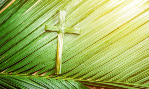 El rey que desea ser acompañado hasta el calvario. Palabra de vida eterna 04.