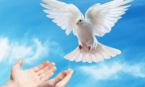 Palabra de Dios 22 de Mayo 2022. 6to. Domingo de Pascua.