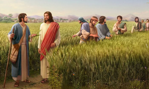Palabra de Dios 15 de Julio 2022. 15vo. Viernes de Tiempo Ordinario.