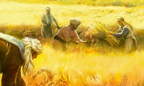 Palabra de Dios 26 de Julio 2022. Martes XVII de Tiempo Ordinario.