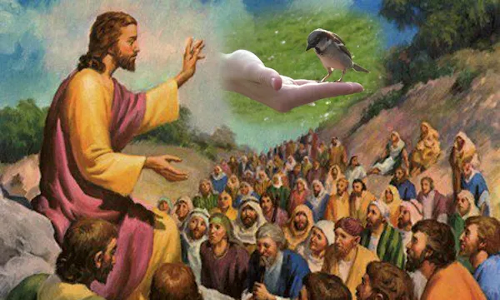 Palabra de Dios 09 de Julio 2022. 14vo. Sabado de Tiempo Ordinario.