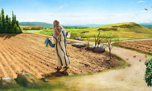 Palabra de Dios 20 de Julio 2022. 16vo. Miercoles de Tiempo Ordinario.
