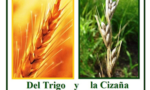 Palabra de Dios 23 Julio 2022. 16vo. Sabado de Tiempo Ordinario.