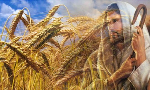 Palabra de Dios 3 de Sep. de 2022. Sabado XXII Tiempo Ordinario.