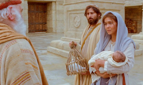 Palabra de Dios 29 de Dic. de 2022. Día V dentro de la Octava de Navidad.