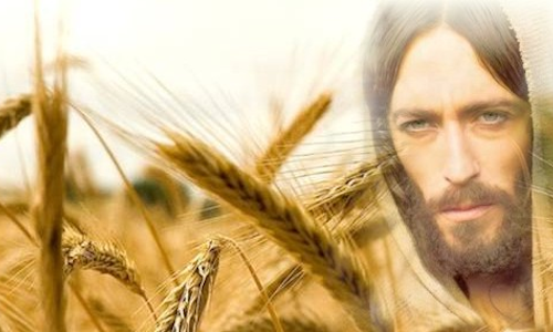 Palabra de Dios 17 de Enero de 2023. 2do. Martes de Tiempo Ordinario.