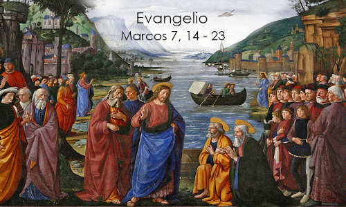 Palabra de Dios 8 de febrero de 2023.  5° Miercoles de Tiempo Ordinario.