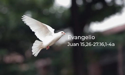 Palabra de Dios 15 de mayo de 2023. Lunes de la 6ª semana de Pascua.