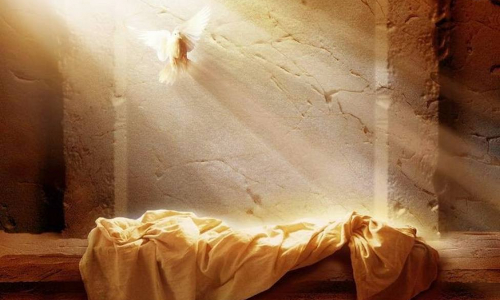 Palabra de Dios 7 de junio de 2023. 9no. Miercoles de Tiempo Ordinario.