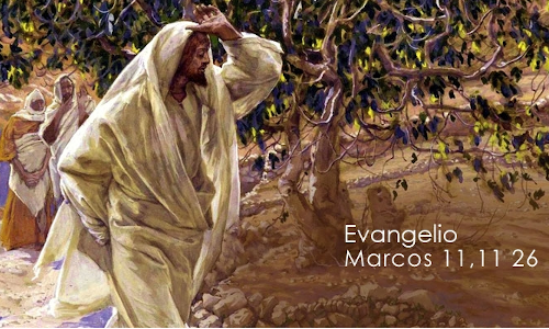 Palabra de Dios 2 de junio de 2023. 8vo. Viernes de Tiempo Ordinario.