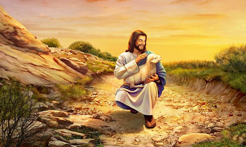 Palabra de Dios 18 de junio de 2023. XI Domingo de Tiempo Ordinario.
