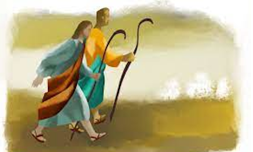 Palabra de Dios 11 de junio de 2023. X DOMINGO DEL TIEMPO ORDINARIO.