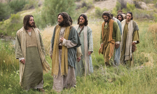 Palabra de Dios 12 de Julio de 2023. Miercoles XIV Tiempo Ordinario.