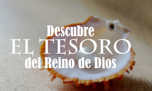 Palabra de Dios 30 de Julio de 2023. XVII DOMINGO TIEMPO ORDINARIO.