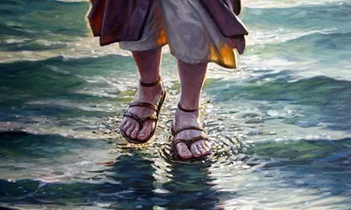 Palabra de Dios 13 de Ago. de 2023. Domingo XIX Tiempo Ordinario.
