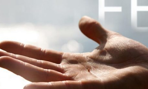 Palabra de Dios 12 de Ago. de 2023. Sabado XVIII Tiempo Ordinario.