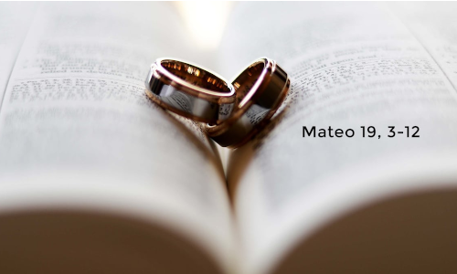 Palabra de Dios 18 de Ago. de 2023. Viernes XIX Tiempo Ordinario.