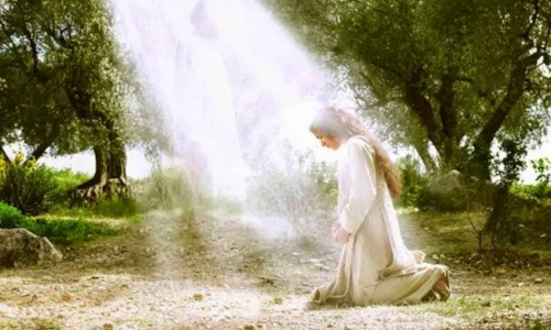 Palabra de Dios 20 de Dic. 2023. MIERCOLES FERIA MAYOR DE ADVIENTO.