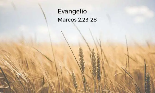 Palabra de Dios 16 de Enero de 2024. 2do. Martes de Tiempo Ordinario.